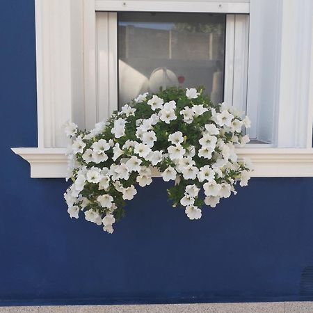 Casa Jardin Villa Монфорте де Лемос Екстериор снимка